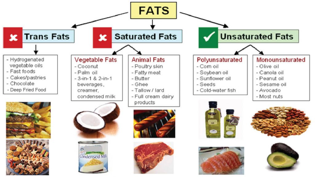 Types of fat